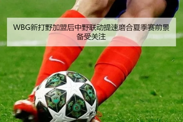 WBG新打野加盟后中野联动提速磨合夏季赛前景备受关注